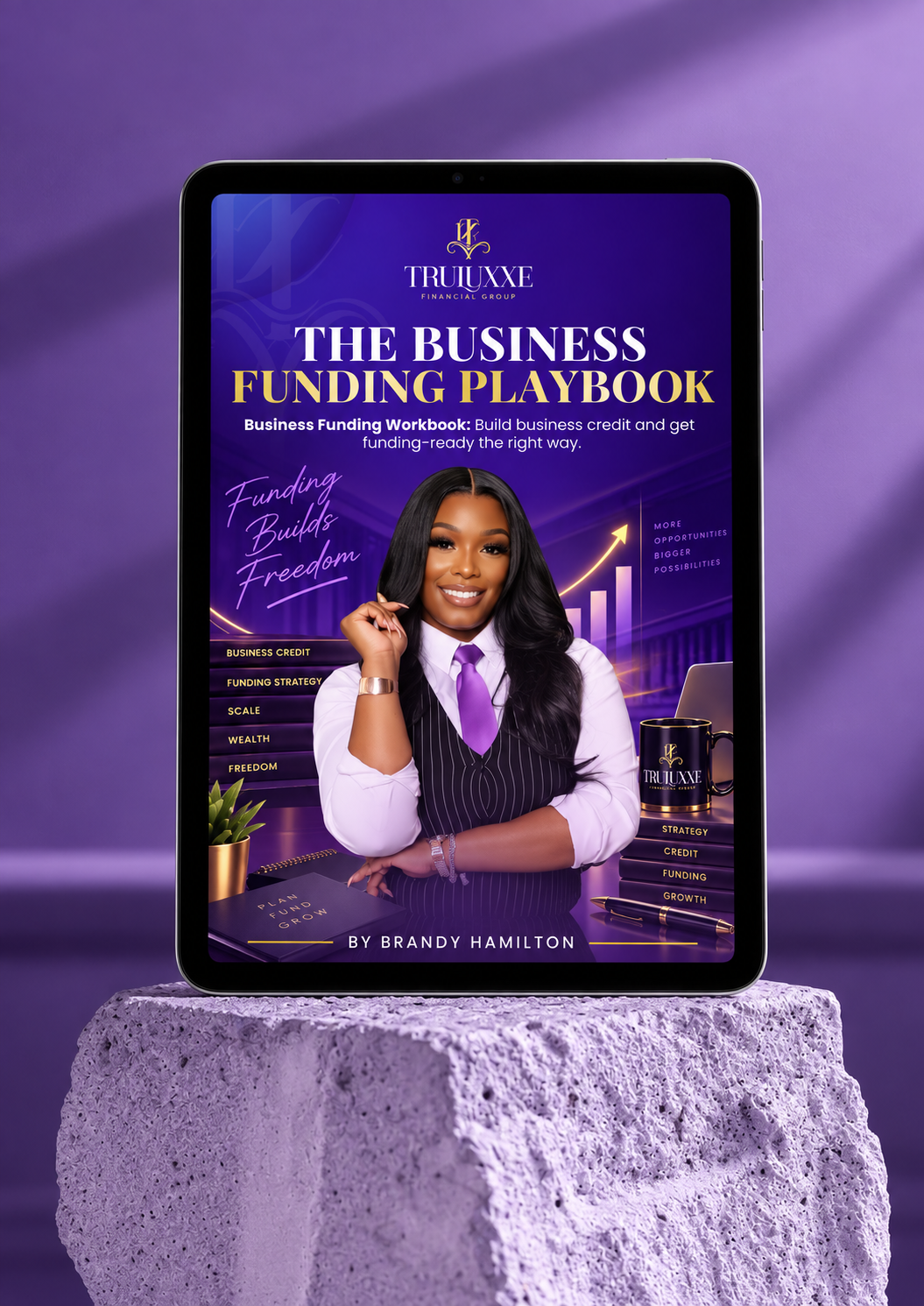 The Business Funding Playbook